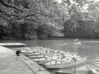 Park Maksimir 1955. godine